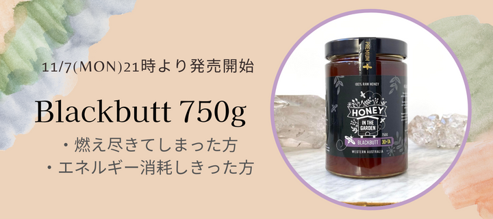 HOLISTETIQUE(ホリステティック)感性を取り戻し内側からの真の美しさ ...